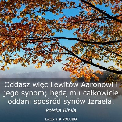 Picture 03 - Liczb 3:9 POLUBG - Oddasz więc Lewitów Aaronowi i jego synom; - Bible Verse Picture