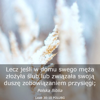 Picture 03 - Liczb 30:10 POLUBG - Lecz jeśli w domu swego męża złożyła ślub - Bible Verse Picture