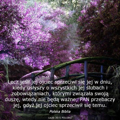 Picture 03 - Liczb 30:5 POLUBG - Lecz jeśli jej ojciec sprzeciwi się jej w dniu, - Bible Verse Picture