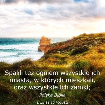 Picture 03 - Liczb 31:10 POLUBG - Spalili też ogniem wszystkie ich miasta, w - Bible Verse Picture
