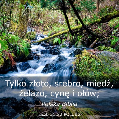 Picture 03 - Liczb 31:22 POLUBG - Tylko złoto, srebro, miedź, żelazo, cynę i - Bible Verse Picture