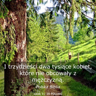 Picture 03 - Liczb 31:35 POLUBG - I trzydzieści dwa tysiące kobiet, które nie - Bible Verse Picture