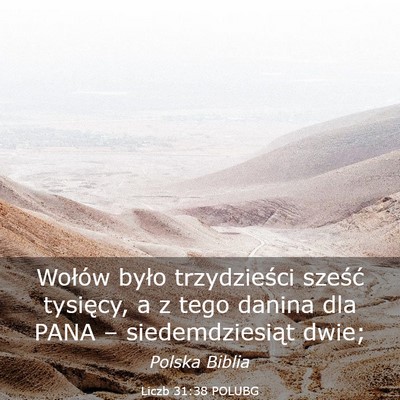 Picture 03 - Liczb 31:38 POLUBG - Wołów było trzydzieści sześć tysięcy, a z - Bible Verse Picture
