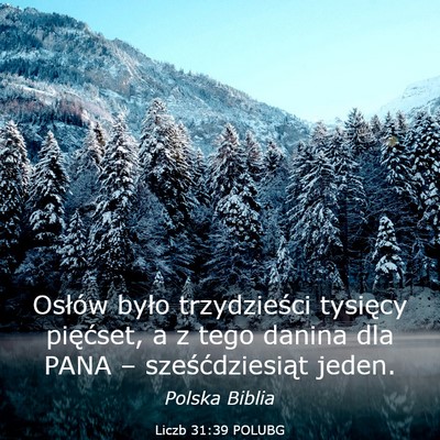 Picture 03 - Liczb 31:39 POLUBG - Osłów było trzydzieści tysięcy pięćset, a - Bible Verse Picture