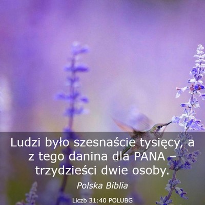 Picture 03 - Liczb 31:40 POLUBG - Ludzi było szesnaście tysięcy, a z tego danina - Bible Verse Picture