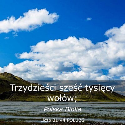 Picture 03 - Liczb 31:44 POLUBG - Trzydzieści sześć tysięcy - Bible Verse Picture