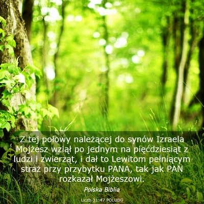 Picture 03 - Liczb 31:47 POLUBG - Z tej połowy należącej do synów Izraela - Bible Verse Picture