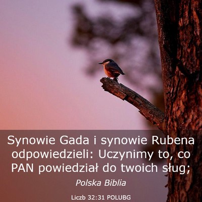 Picture 03 - Liczb 32:31 POLUBG - Synowie Gada i synowie Rubena odpowiedzieli: - Bible Verse Picture