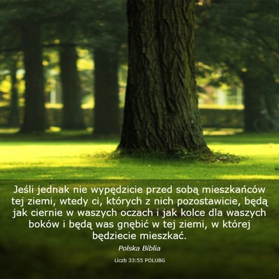 Picture 03 - Liczb 33:55 POLUBG - Jeśli jednak nie wypędzicie przed sobą - Bible Verse Picture