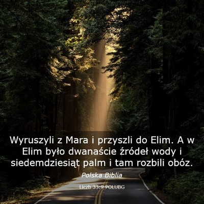 Picture 03 - Liczb 33:9 POLUBG - Wyruszyli z Mara i przyszli do Elim. A w Elim - Bible Verse Picture