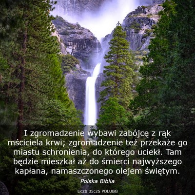 Picture 03 - Liczb 35:25 POLUBG - I zgromadzenie wybawi zabójcę z rąk mściciela - Bible Verse Picture