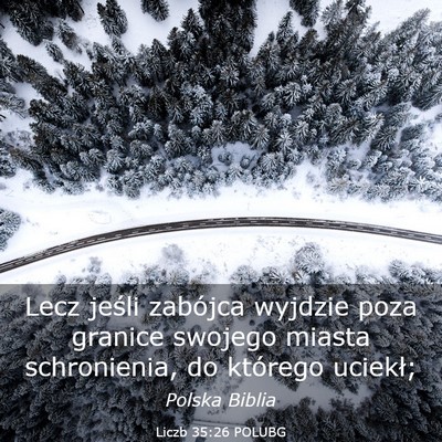 Picture 03 - Liczb 35:26 POLUBG - Lecz jeśli zabójca wyjdzie poza granice swojego - Bible Verse Picture
