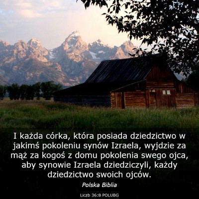 Picture 03 - Liczb 36:8 POLUBG - I każda córka, która posiada dziedzictwo w - Bible Verse Picture
