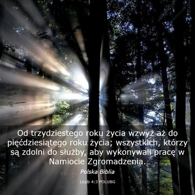 Picture 03 - Liczb 4:3 POLUBG - Od trzydziestego roku życia wzwyż aż do - Bible Verse Picture
