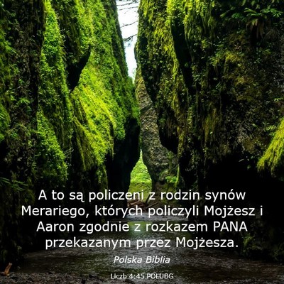 Picture 03 - Liczb 4:45 POLUBG - A to są policzeni z rodzin synów Merariego, - Bible Verse Picture