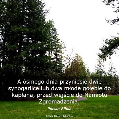 Picture 03 - Liczb 6:10 POLUBG - A ósmego dnia przyniesie dwie synogarlice lub - Bible Verse Picture