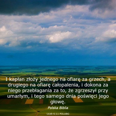 Picture 03 - Liczb 6:11 POLUBG - I kapłan złoży jednego na ofiarę za grzech, a - Bible Verse Picture