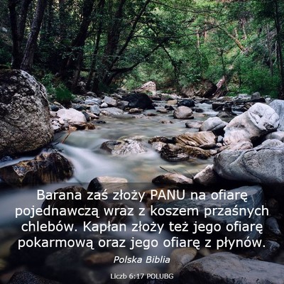 Picture 03 - Liczb 6:17 POLUBG - Barana zaś złoży PANU na ofiarę pojednawczą - Bible Verse Picture