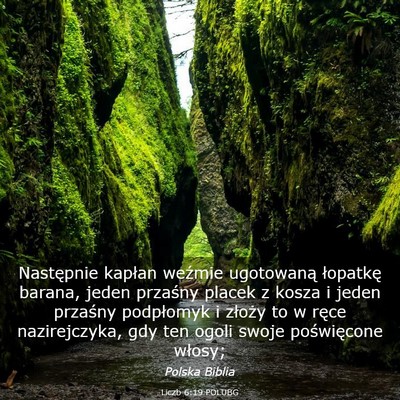 Picture 03 - Liczb 6:19 POLUBG - Następnie kapłan weźmie ugotowaną łopatkę - Bible Verse Picture