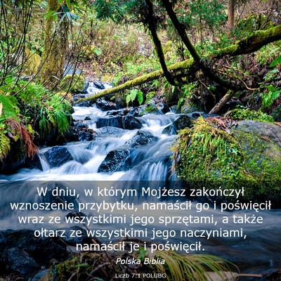Picture 03 - Liczb 7:1 POLUBG - W dniu, w którym Mojżesz zakończył wznoszenie - Bible Verse Picture