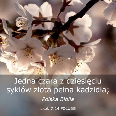 Picture 03 - Liczb 7:14 POLUBG - Jedna czara z dziesięciu syklów złota pełna - Bible Verse Picture