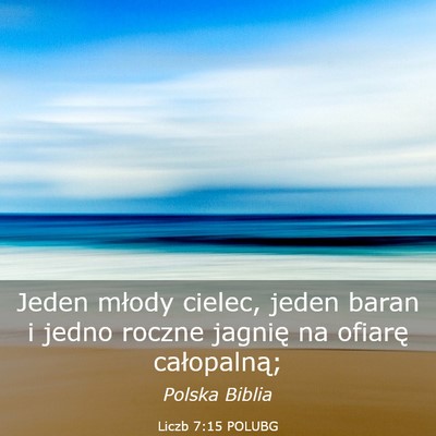 Picture 03 - Liczb 7:15 POLUBG - Jeden młody cielec, jeden baran i jedno roczne - Bible Verse Picture