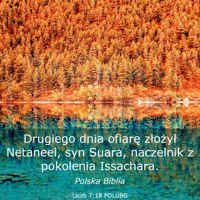 Picture 03 - Liczb 7:18 POLUBG - Drugiego dnia ofiarę złożył Netaneel, syn - Bible Verse Picture
