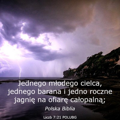 Picture 03 - Liczb 7:21 POLUBG - Jednego młodego cielca, jednego barana i jedno - Bible Verse Picture