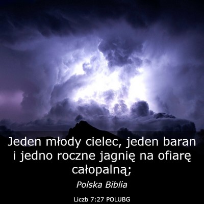 Picture 03 - Liczb 7:27 POLUBG - Jeden młody cielec, jeden baran i jedno roczne - Bible Verse Picture