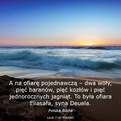 Picture 03 - Liczb 7:47 POLUBG - A na ofiarę pojednawczą – dwa woły, pięć - Bible Verse Picture