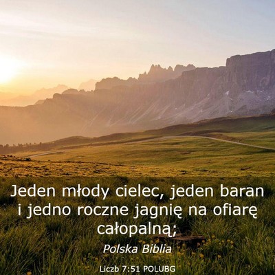 Picture 03 - Liczb 7:51 POLUBG - Jeden młody cielec, jeden baran i jedno roczne - Bible Verse Picture