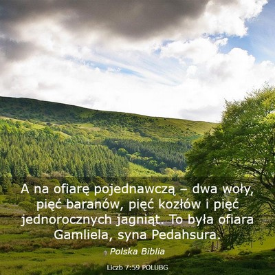 Picture 03 - Liczb 7:59 POLUBG - A na ofiarę pojednawczą – dwa woły, pięć - Bible Verse Picture