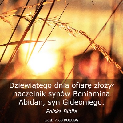Picture 03 - Liczb 7:60 POLUBG - Dziewiątego dnia ofiarę złożył naczelnik - Bible Verse Picture
