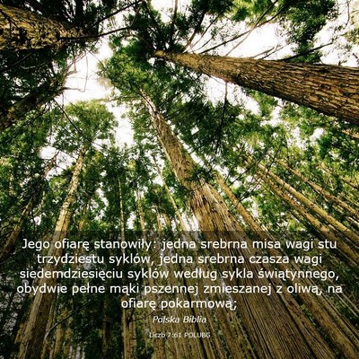 Picture 03 - Liczb 7:61 POLUBG - Jego ofiarę stanowiły: jedna srebrna misa wagi - Bible Verse Picture
