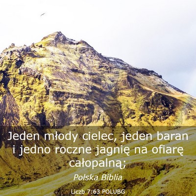 Picture 03 - Liczb 7:63 POLUBG - Jeden młody cielec, jeden baran i jedno roczne - Bible Verse Picture