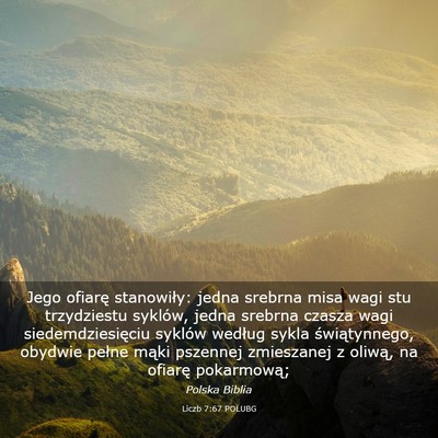 Picture 03 - Liczb 7:67 POLUBG - Jego ofiarę stanowiły: jedna srebrna misa wagi - Bible Verse Picture