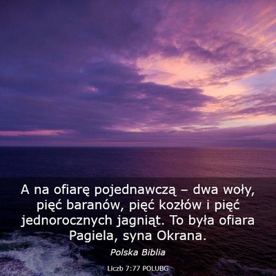 Picture 03 - Liczb 7:77 POLUBG - A na ofiarę pojednawczą – dwa woły, pięć - Bible Verse Picture