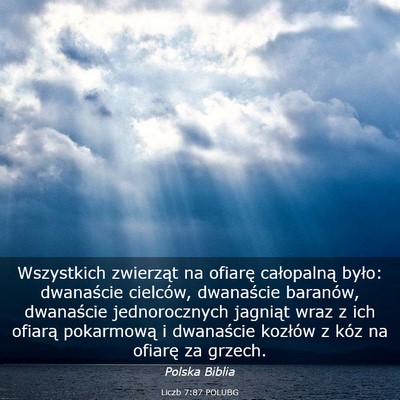 Picture 03 - Liczb 7:87 POLUBG - Wszystkich zwierząt na ofiarę całopalną - Bible Verse Picture