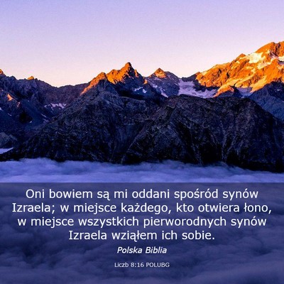 Picture 03 - Liczb 8:16 POLUBG - Oni bowiem są mi oddani spośród synów - Bible Verse Picture