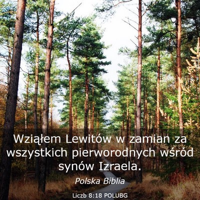 Picture 03 - Liczb 8:18 POLUBG - Wziąłem Lewitów w zamian za wszystkich - Bible Verse Picture