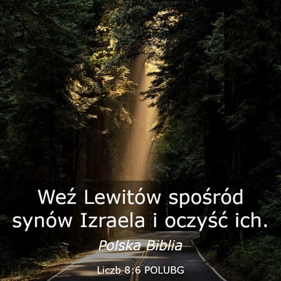 Picture 03 - Liczb 8:6 POLUBG - Weź Lewitów spośród synów Izraela i oczyść - Bible Verse Picture