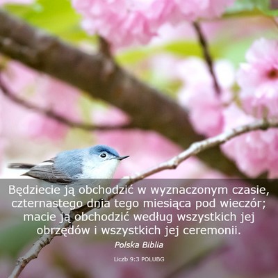 Picture 03 - Liczb 9:3 POLUBG - Będziecie ją obchodzić w wyznaczonym czasie, - Bible Verse Picture