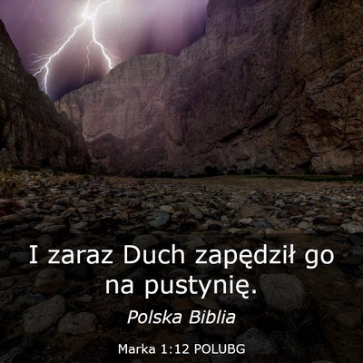 Picture 03 - Marka 1:12 POLUBG - I zaraz Duch zapędził go na - Bible Verse Picture