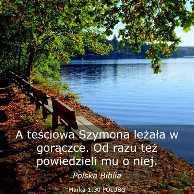 Picture 03 - Marka 1:30 POLUBG - A teściowa Szymona leżała w gorączce. Od razu - Bible Verse Picture