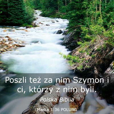 Picture 03 - Marka 1:36 POLUBG - Poszli też za nim Szymon i ci, którzy z nim - Bible Verse Picture