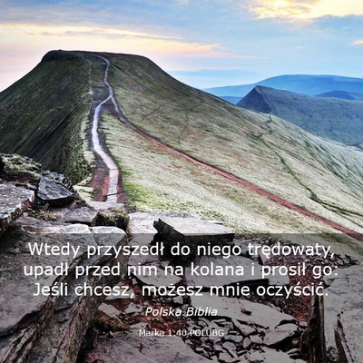 Picture 03 - Marka 1:40 POLUBG - Wtedy przyszedł do niego trędowaty, upadł - Bible Verse Picture