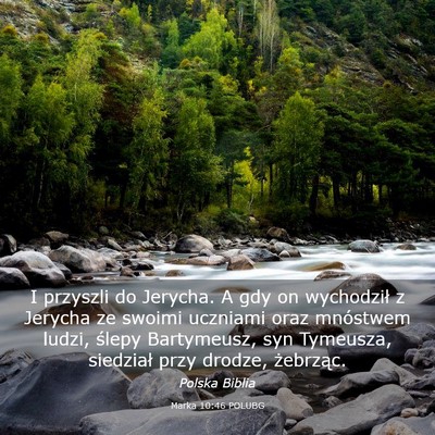 Picture 03 - Marka 10:46 POLUBG - I przyszli do Jerycha. A gdy on wychodził z - Bible Verse Picture