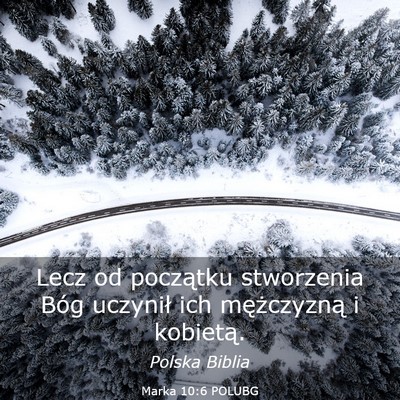 Picture 03 - Marka 10:6 POLUBG - Lecz od początku stworzenia Bóg uczynił ich - Bible Verse Picture