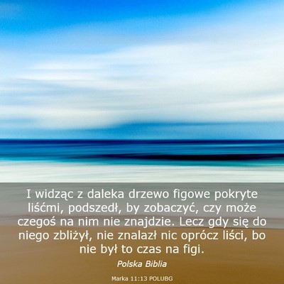 Picture 03 - Marka 11:13 POLUBG - I widząc z daleka drzewo figowe pokryte - Bible Verse Picture