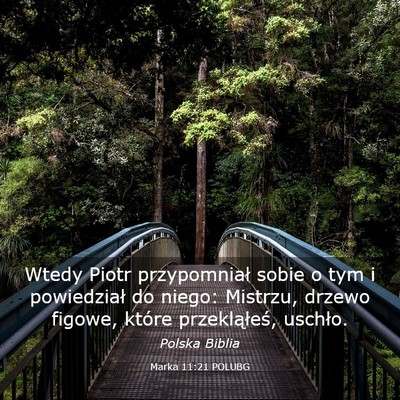 Picture 03 - Marka 11:21 POLUBG - Wtedy Piotr przypomniał sobie o tym i - Bible Verse Picture